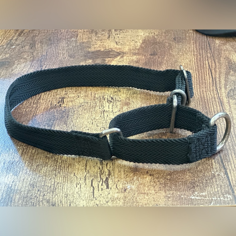 Non-metal Choker Collar for Training your Dog Not to Pull